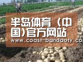 种植基地八
