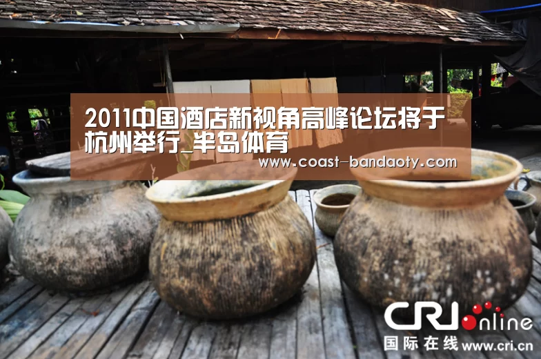 2011中国酒店新视角高峰论坛将于杭州举行_半岛体育(图2)